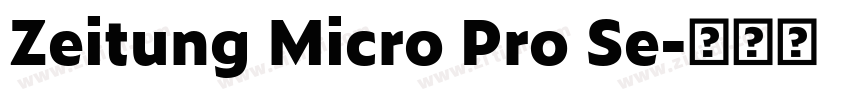 Zeitung Micro Pro Se字体转换